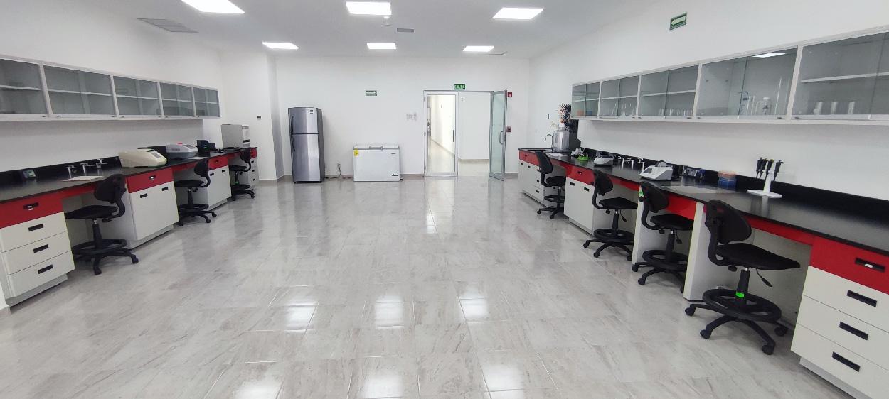 Cultivo Celular y Microscopía